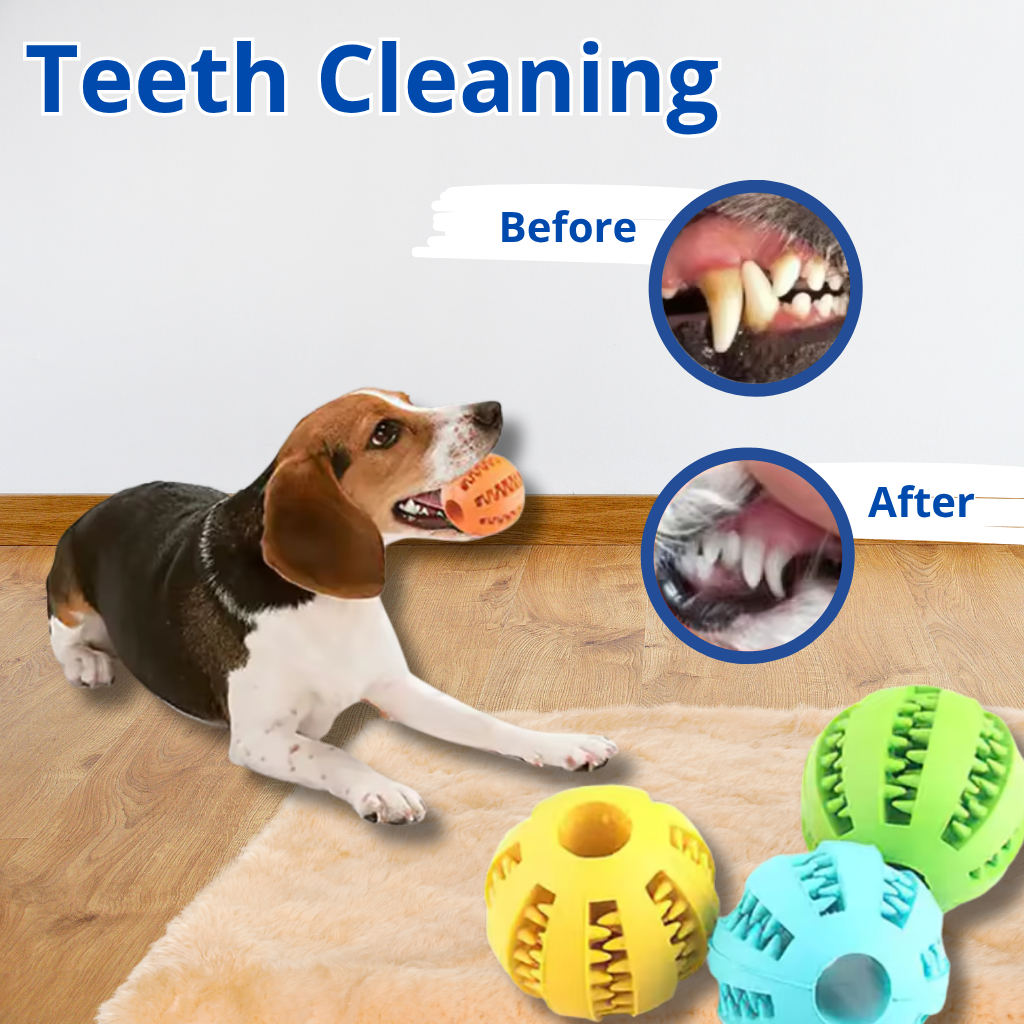 Dog Chew & Treat Ball