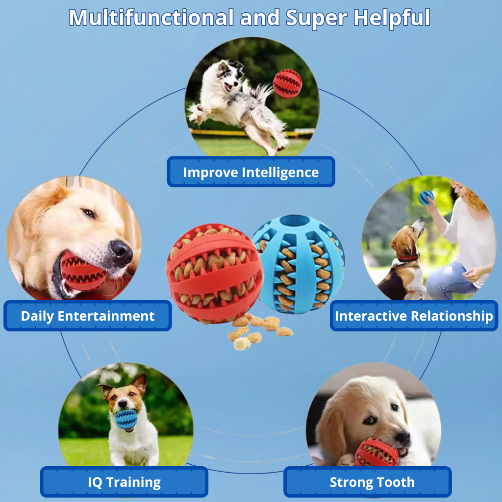 Dog Chew & Treat Ball