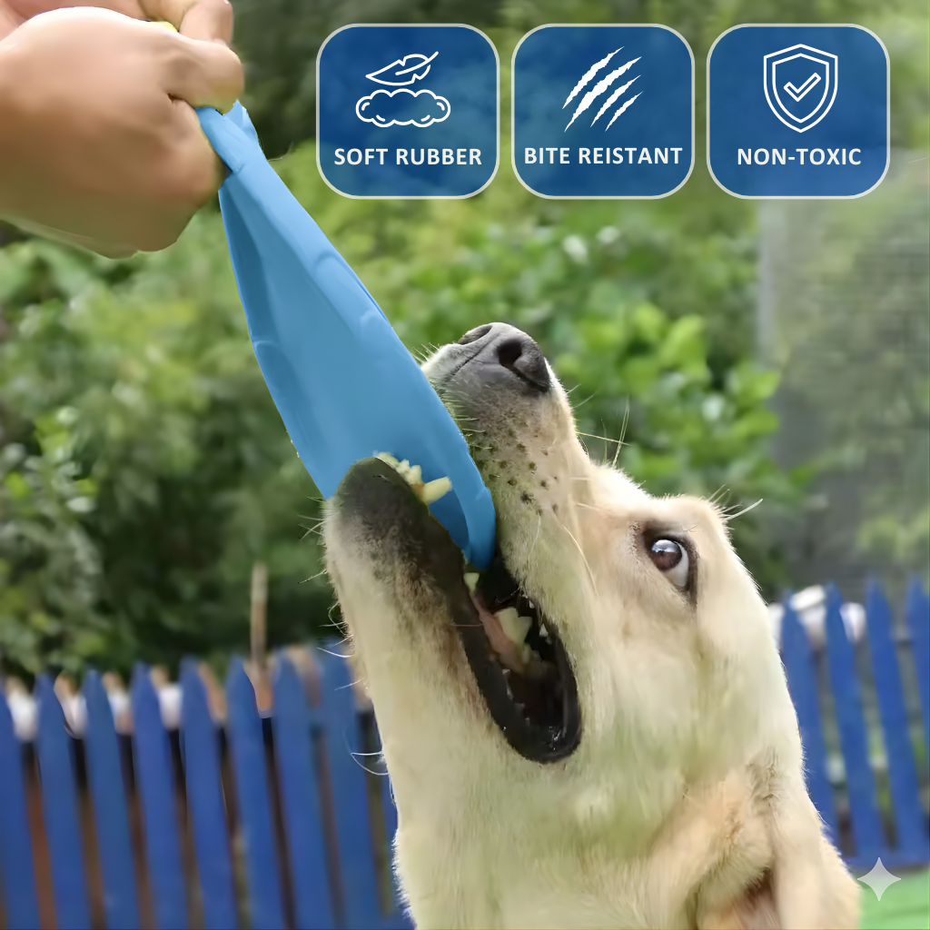 Soft Silicone Dog Frisbee