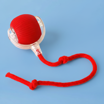 Interactive Smart Cat Ball