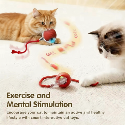 Interactive Smart Cat Ball